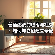 普通鹦鹉的聪明与社交：如何与它们建立亲密联系？(图2)