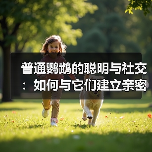 普通鹦鹉的聪明与社交：如何与它们建立亲密联系？(图3)