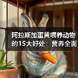 阿拉斯加蛋黄喂养动物的15大好处：营养全面助力健康生长 - 辰飞雨新生家伴