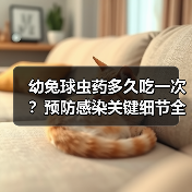 幼兔球虫药多久吃一次？预防感染关键细节全解析(图3)