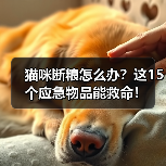 猫咪断粮怎么办？这15个应急物品能救命！(图3)