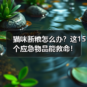 猫咪断粮怎么办？这15个应急物品能救命！(图4)