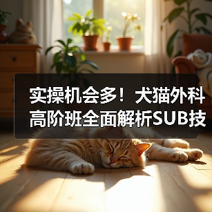 实操机会多！犬猫外科高阶班全面解析SUB技术(图3)