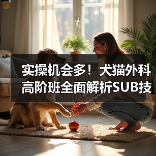 实操机会多！犬猫外科高阶班全面解析SUB技术(图4)