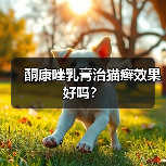 酮康唑乳膏治猫癣效果好吗？(图2)