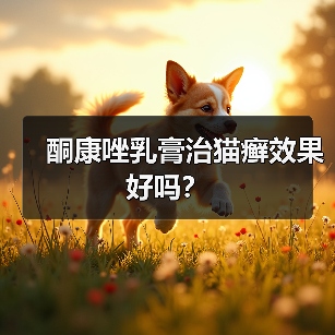 酮康唑乳膏治猫癣效果好吗？