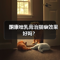 酮康唑乳膏治猫癣效果好吗？(图4)