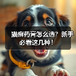 猫癣药膏怎么选？新手必看这几种！(图3)