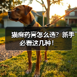 猫癣药膏怎么选？新手必看这几种！(图4)