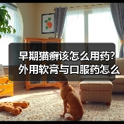 早期猫癣该怎么用药？外用软膏与口服药怎么