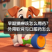 早期猫癣该怎么用药？外用软膏与口服药怎么选？(图2)