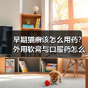 早期猫癣该怎么用药？外用软膏与口服药怎么选？(图3)