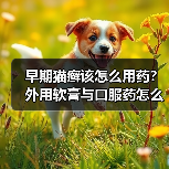 早期猫癣该怎么用药？外用软膏与口服药怎么选？(图4)