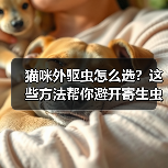 猫咪外驱虫怎么选？这些方法帮你避开寄生虫威胁(图2)