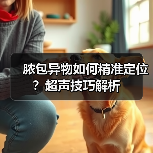 脓包异物如何精准定位？超声技巧解析(图4)