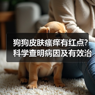 狗狗皮肤瘙痒有红点？科学查明病因及有效治疗方法(图4)