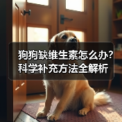 狗狗缺维生素怎么办？科学补充方法全解析(图3)