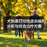 犬跳蚤叮咬性皮炎病例分析与综合治疗方案