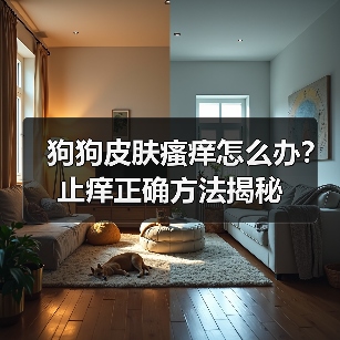 狗狗皮肤瘙痒怎么办？止痒正确方法揭秘(图2)