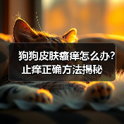 狗狗皮肤瘙痒怎么办？止痒正确方法揭秘(图3)