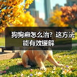 狗狗癣怎么治？这方法能有效缓解 - 辰飞雨新生家伴