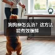 狗狗癣怎么治？这方法能有效缓解(图4)