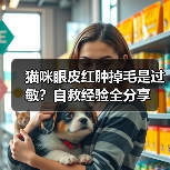 猫咪眼皮红肿掉毛是过敏？自救经验全分享