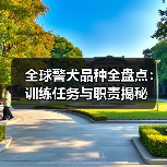 全球警犬品种全盘点:训练任务与职责揭秘(图4) 全球警犬品种全盘点:训练任务与职责揭秘(图4)