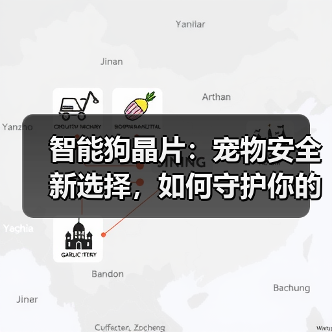 智能狗晶片：宠物安全新选择，如何守护你的