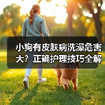 小狗有皮肤病洗澡危害大?正确护理技巧全解析(图3) 小狗有皮肤病洗澡危害大?正确护理技巧全解析(图3)