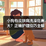 小狗有皮肤病洗澡危害大?正确护理技巧全解析(图4) 小狗有皮肤病洗澡危害大?正确护理技巧全解析(图4)