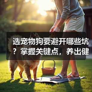 选宠物狗要避开哪些坑？掌握关键点，养出健