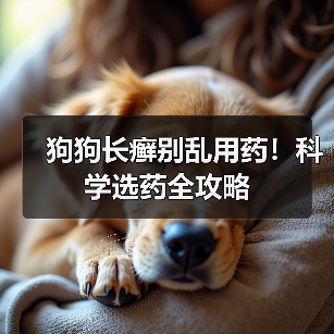 狗狗长癣别乱用药！科学选药全攻略