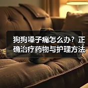 狗狗嗓子痛怎么办？正确治疗药物与护理方法