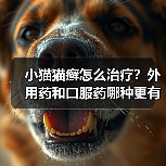 小猫猫癣怎么治疗?外用药和口服药哪种更有效?(图2) 小猫猫癣怎么治疗?外用药和口服药哪种更有效?(图2)