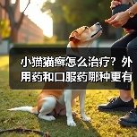 小猫猫癣怎么治疗？外用药和口服药哪种更有