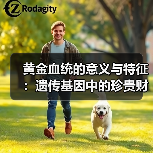 黄金血统的意义与特征:遗传基因中的珍贵财富(图2) 黄金血统的意义与特征:遗传基因中的珍贵财富(图2)