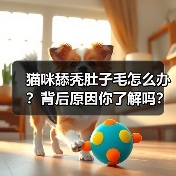 猫咪舔秃肚子毛怎么办?背后原因你了解吗?(图3) 猫咪舔秃肚子毛怎么办?背后原因你了解吗?(图3)