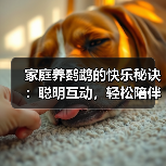 家庭养鹦鹉的快乐秘诀:聪明互动,轻松陪伴(图2) 家庭养鹦鹉的快乐秘诀:聪明互动,轻松陪伴(图2)