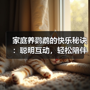 家庭养鹦鹉的快乐秘诀:聪明互动,轻松陪伴(图4) 家庭养鹦鹉的快乐秘诀:聪明互动,轻松陪伴(图4)
