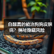 白醋真的能治狗狗皮肤病?揭秘隐藏风险(图1) 白醋真的能治狗狗皮肤病?揭秘隐藏风险(图1)