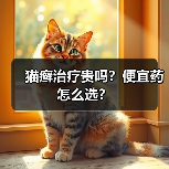 猫癣治疗贵吗?便宜药怎么选?(图1) 猫癣治疗贵吗?便宜药怎么选?(图1)