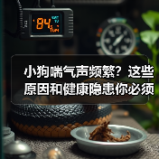 小狗喘气声频繁?这些原因和健康隐患你必须了解(图3) 小狗喘气声频繁?这些原因和健康隐患你必须了解(图3)