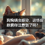 狗狗螨虫感染,这些皮肤病你注意到了吗?(图4) 狗狗螨虫感染,这些皮肤病你注意到了吗?(图4)