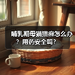 哺乳期母猫猫癣怎么办？用药安全吗？(图4)