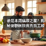 谁是本周瑞辰之星？揭秘宠物医院优秀员工故事 - 辰飞雨新生家伴