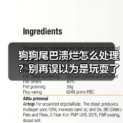 狗狗尾巴溃烂怎么处理？别再误以为是玩耍了(图3)