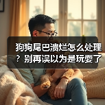 狗狗尾巴溃烂怎么处理？别再误以为是玩耍了(图4)