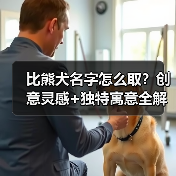 比熊犬名字怎么取?创意灵感+独特寓意全解析(图2) 比熊犬名字怎么取?创意灵感+独特寓意全解析(图2)