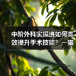 中阶外科实操班如何高效提升手术技能？一猫一狗实战演练(图3)